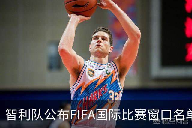 智利队公布FIFA国际比赛窗口名单：24人入选，另有3名“客人”