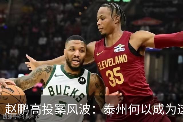 赵鹏高投案风波：泰州何以成为这个大戏的舞台？